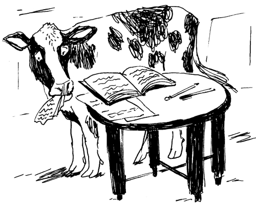 cartoon of cow reading in a library