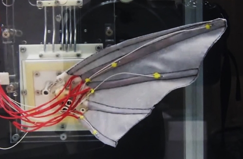 robotic fish fish prototype