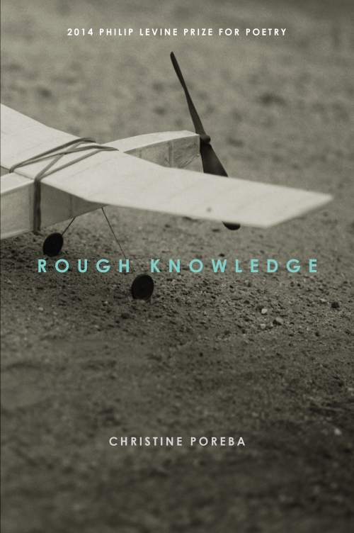 Book cover of Rough Knowledge showing a model airplane.