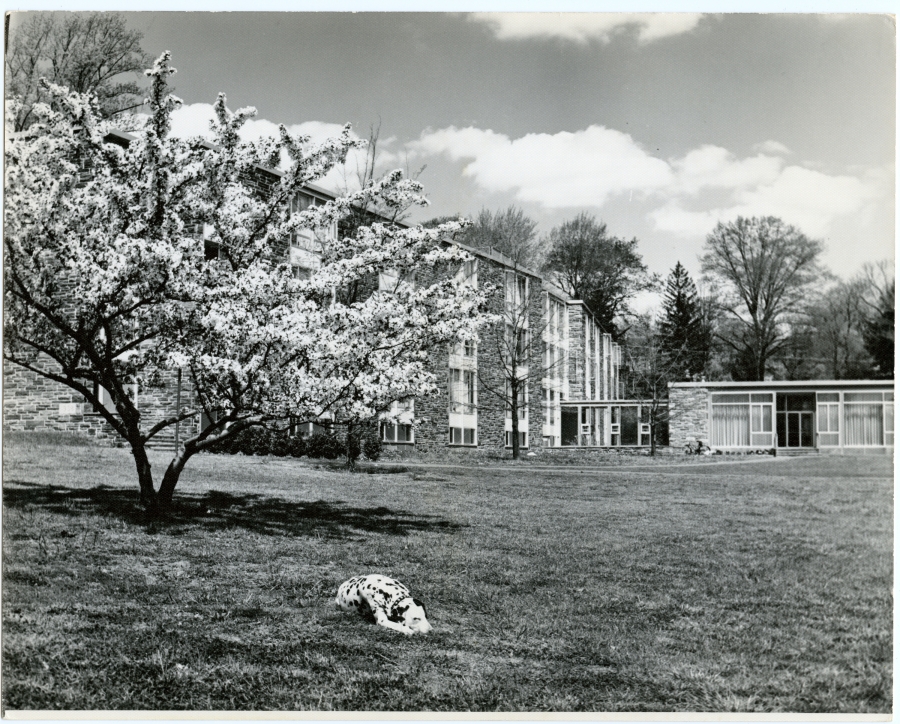 black and white photo of dog sleeping on Swarthmore lawn