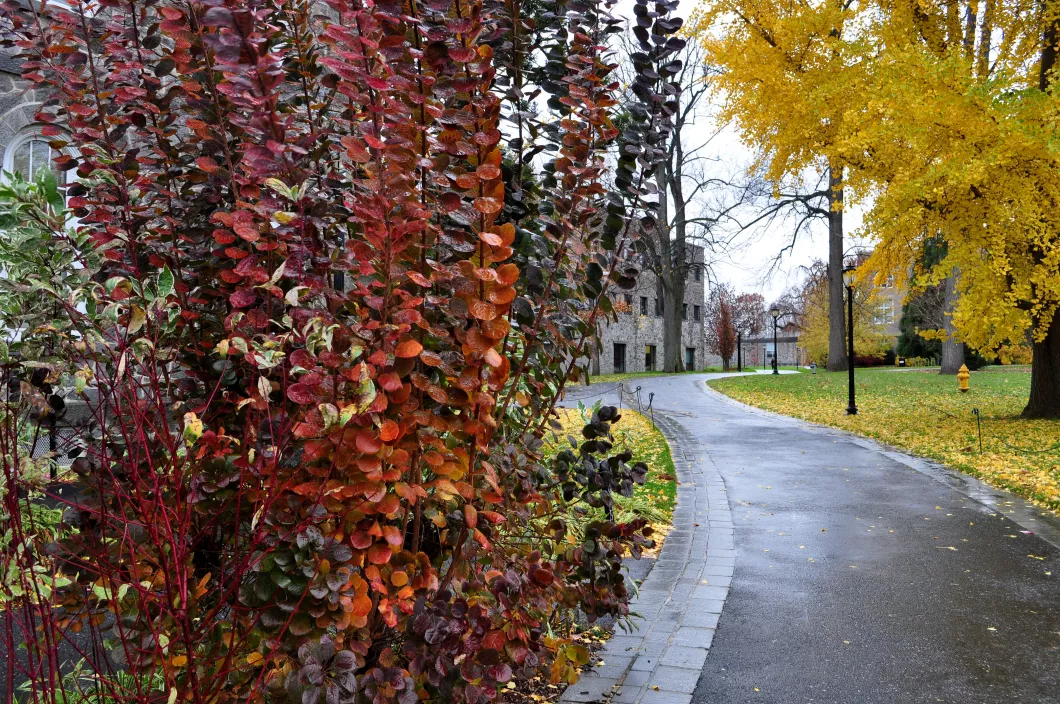 scenic photo of campus