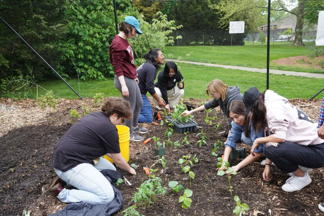 Students working in the garden