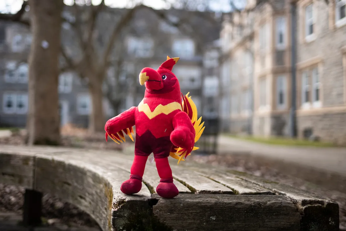 stuffed phoenix on the Swarthmore campus