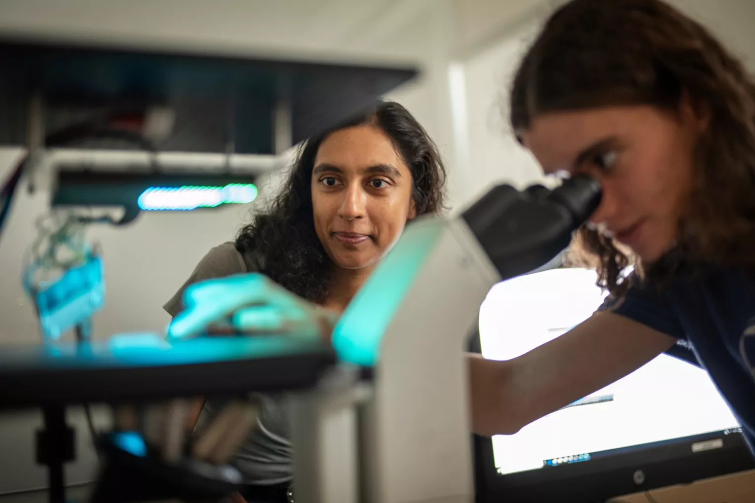 Student uses microscope in lab