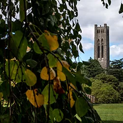 Clothier Bell Tower behind trees