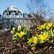 Flowers sprouting on Swarthmore's campus