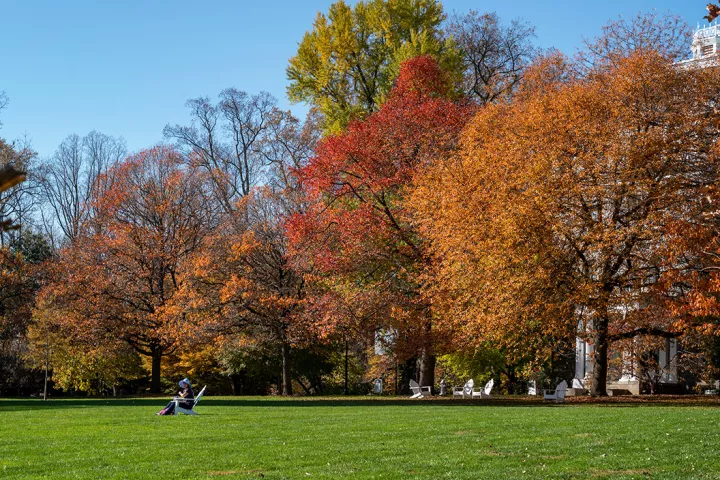 Parrish Beach with Fall foliage