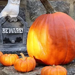 Halloween pumpkins