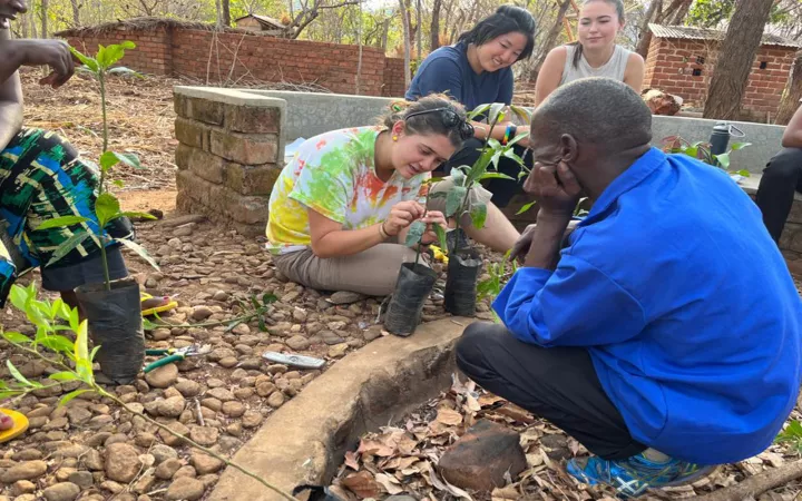 Students sitting outside examining plants