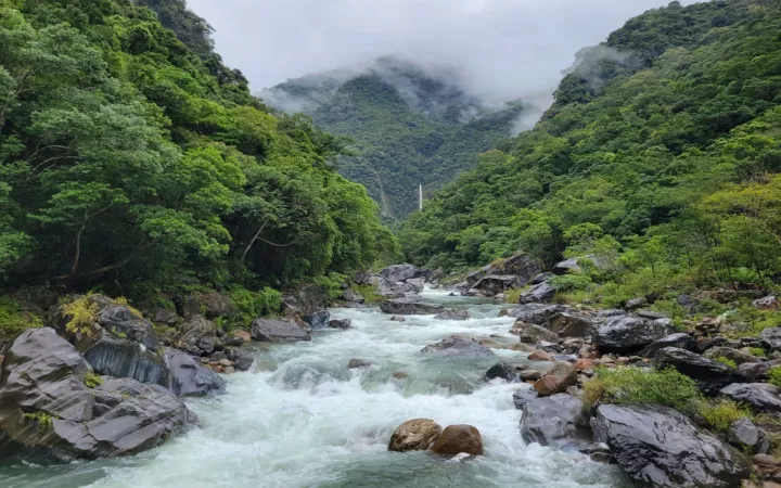 Brook with whitewater gushing down mountain, surrounded by mist