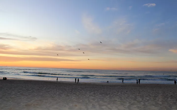 Beach with orange-streaked clouds and birds overhead