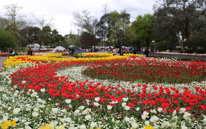 Outdoor garden with circular arrangement of colorful flowers