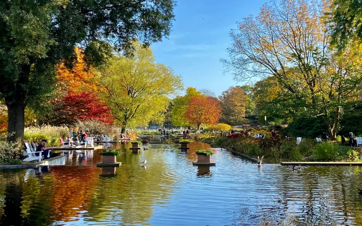 Water lined with colorful trees and white chairs