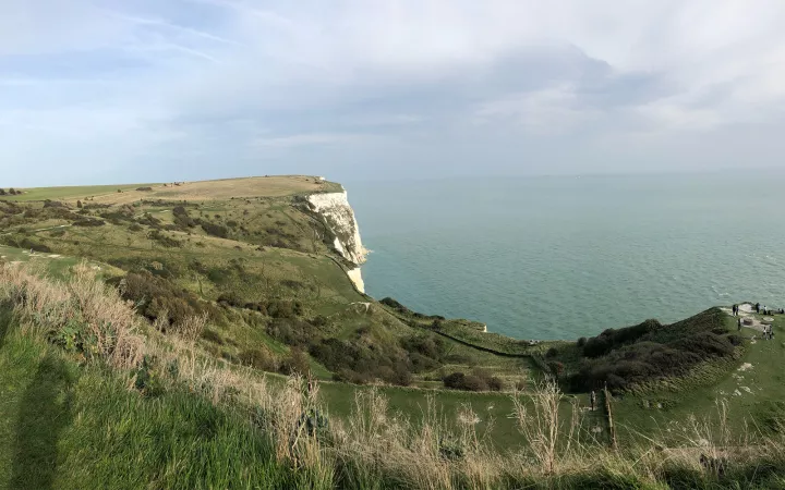 Grassy cliff overlooking calm sea