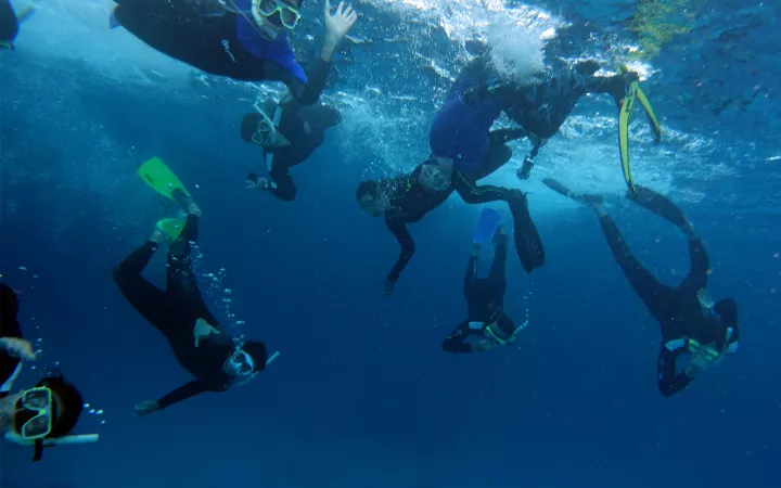 Underwater photo of group of students snorkeling