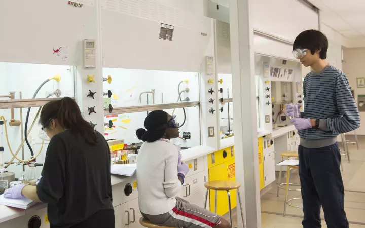 students in chemistry lab