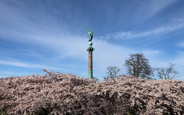 Statue of winged woman above flowery bush 