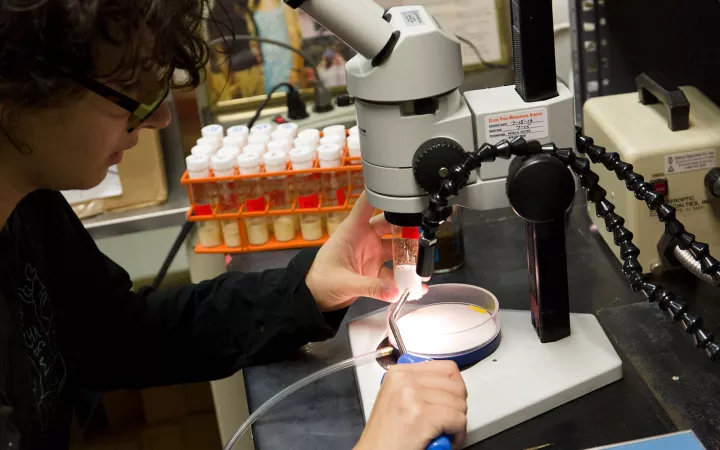 student in chemistry lab