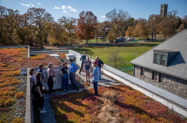 People stand on green roof with vegetation under blue sky