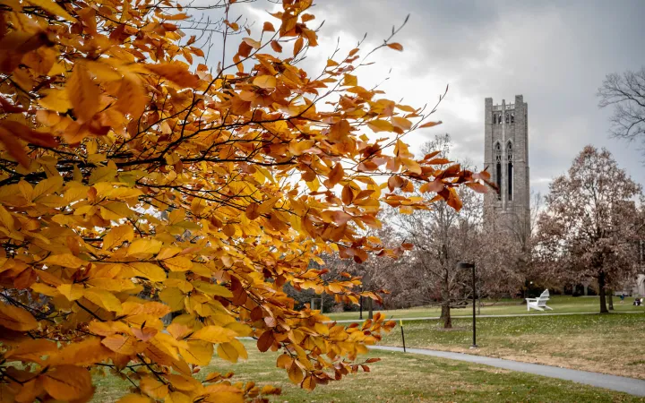 fall photo of campus