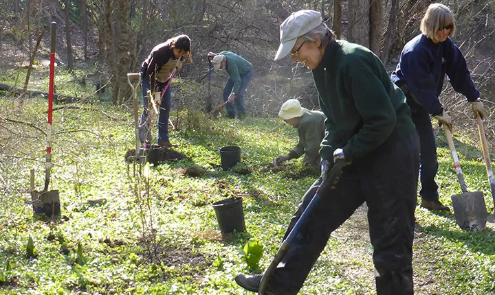 crum woods tree planting day