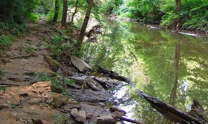 crum woods stream