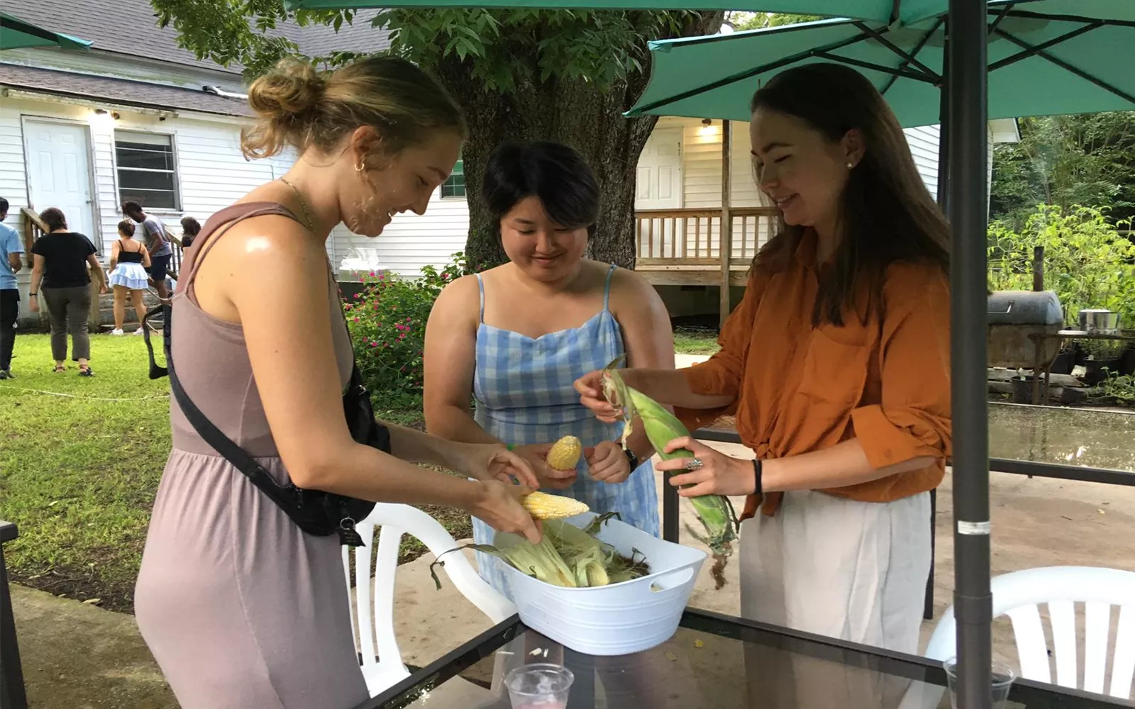 Students husking corn into big outside