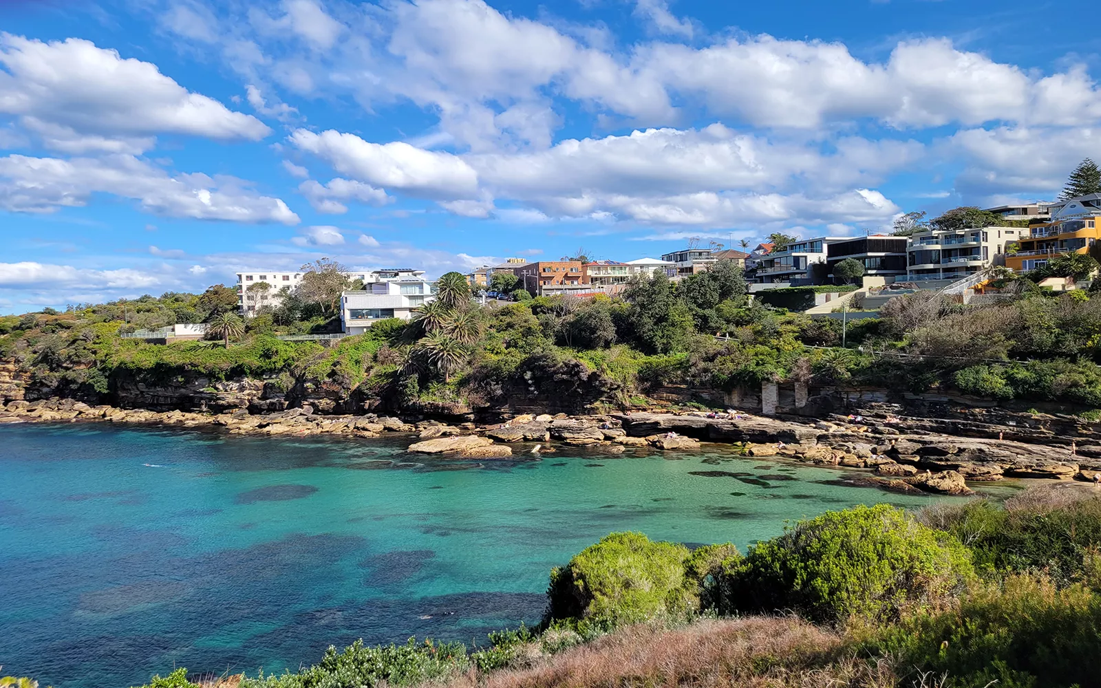 Aqua cove with palm trees and houses in background