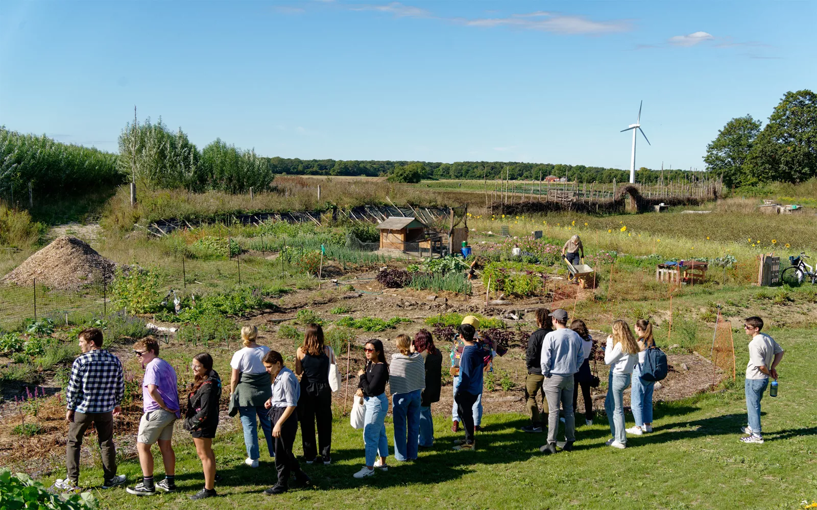 Row of people looking out at farmland