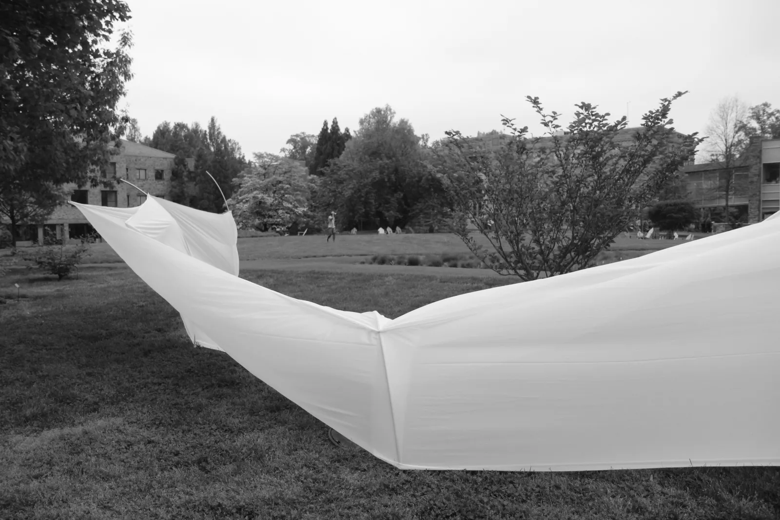 Temporary outdoor student sculpture installation. Beardsley Quad lawn.