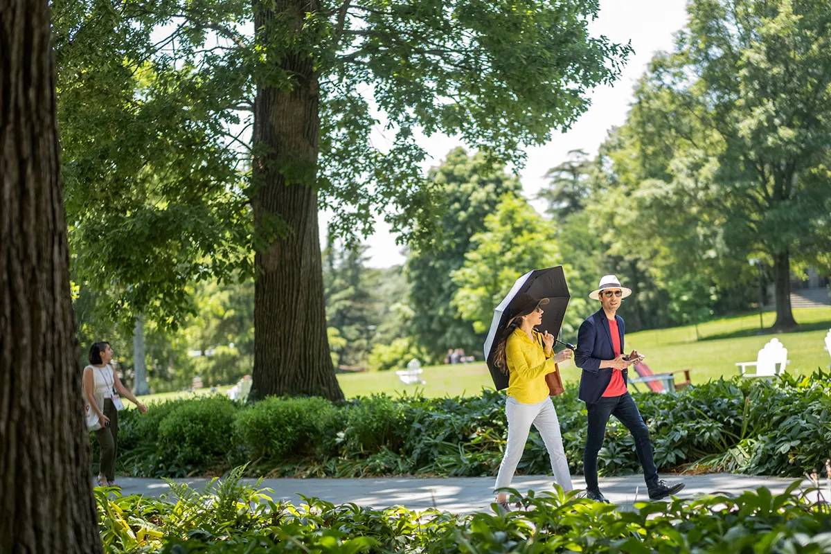 Alumni on Magill Walk in spring