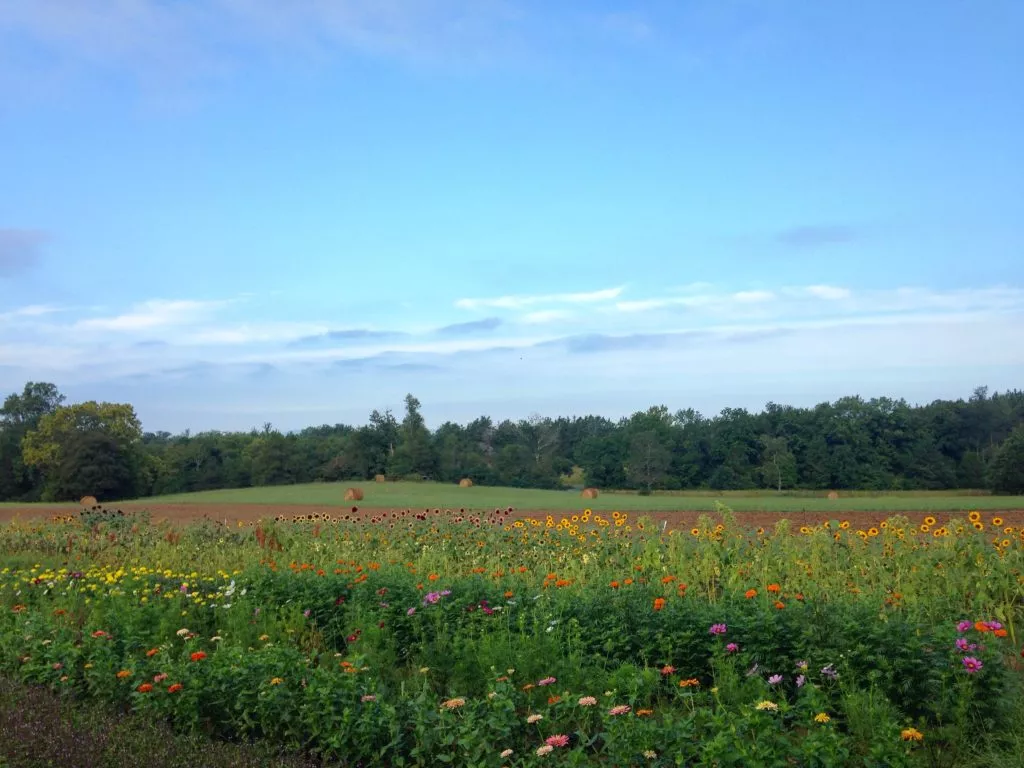 Claudia Seixas '10, Owner / Farmer Sweet Green Farms LLC