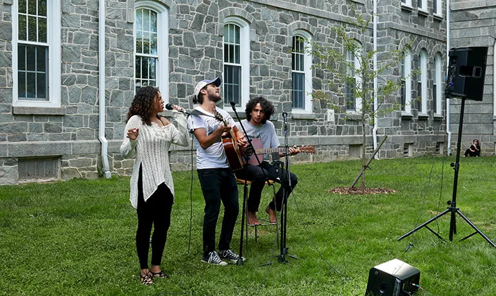 Three musicians perform together