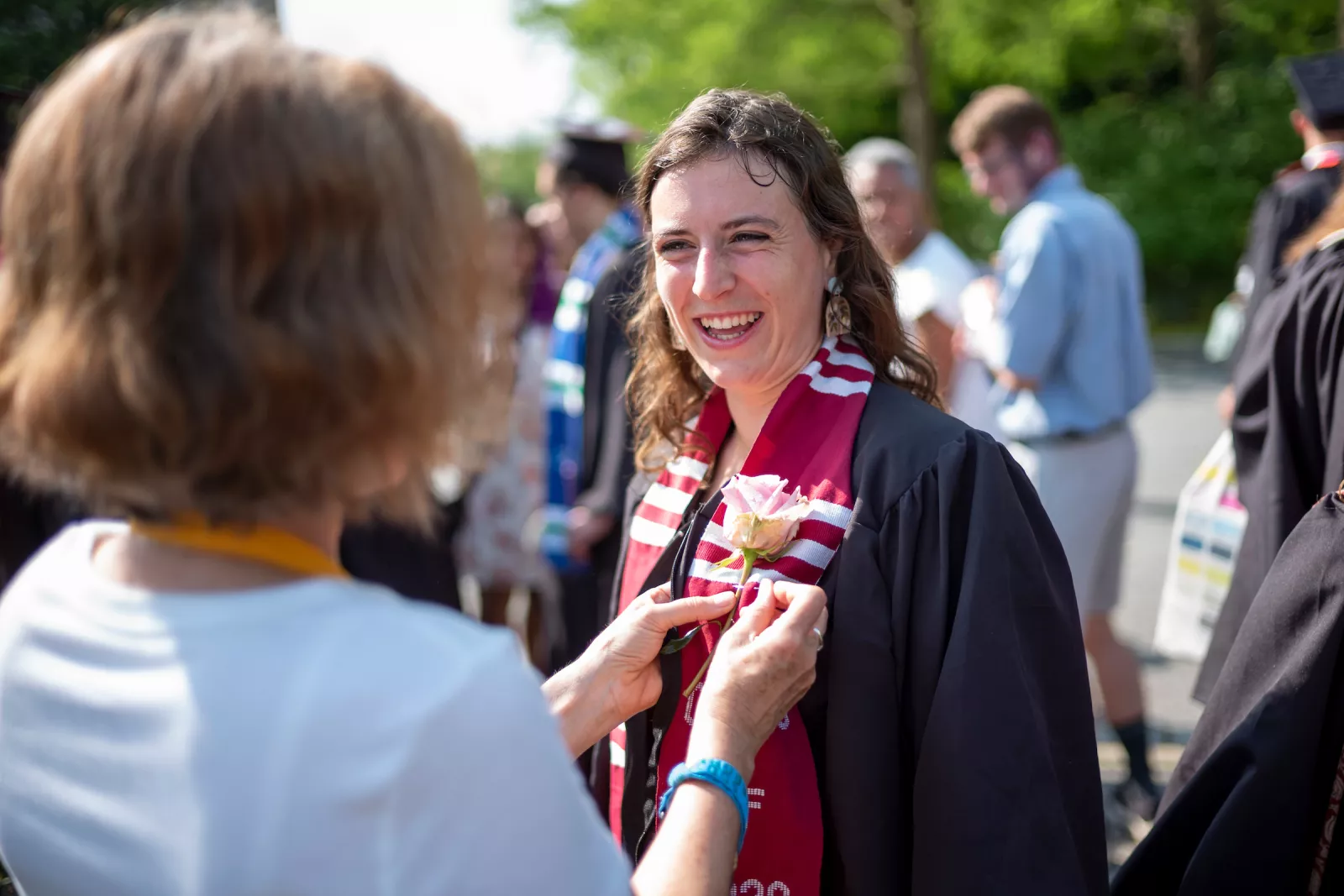 Person receives rose in garden