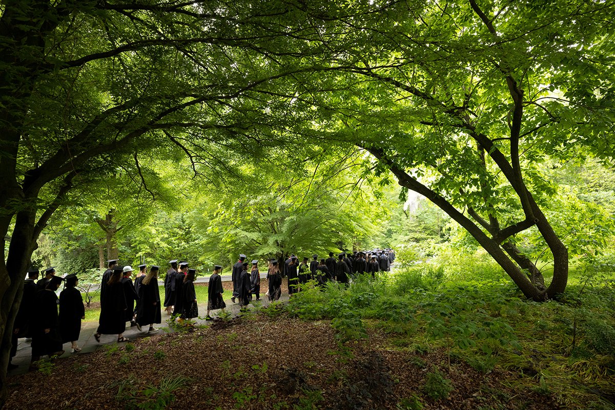 Students walk under tree covering in caps and gowns