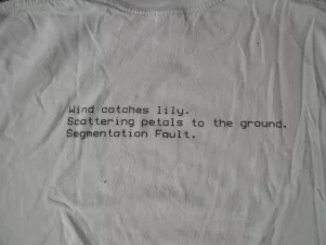 2001 shirt front: haiku