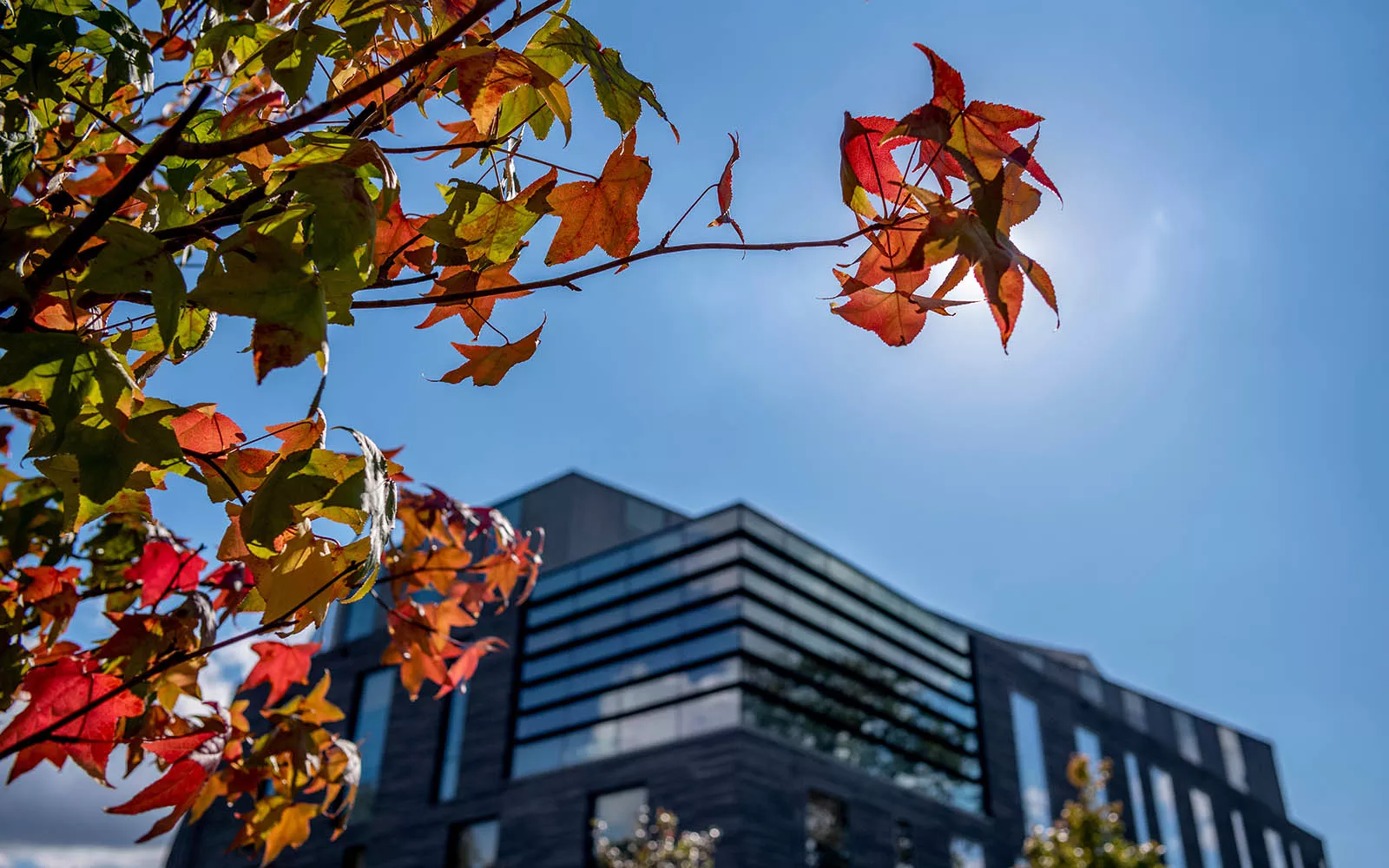 Singer Hall in the Fall