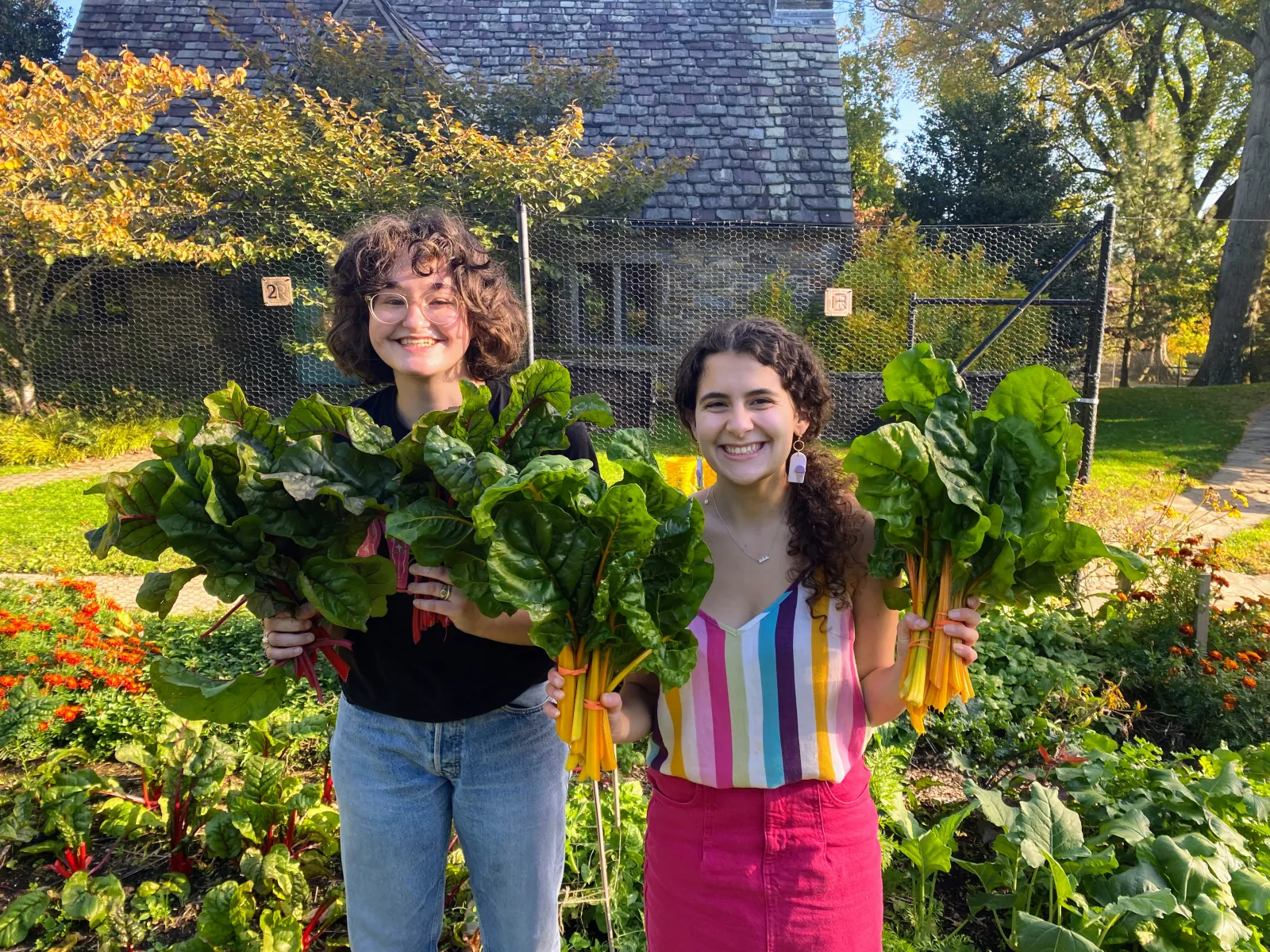 ENVS Our Food Garden Harvest