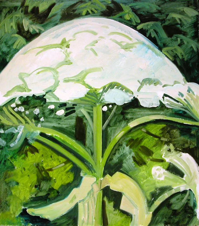 Painting of cow parsnip