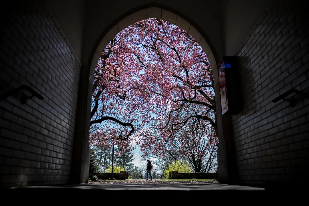 archway