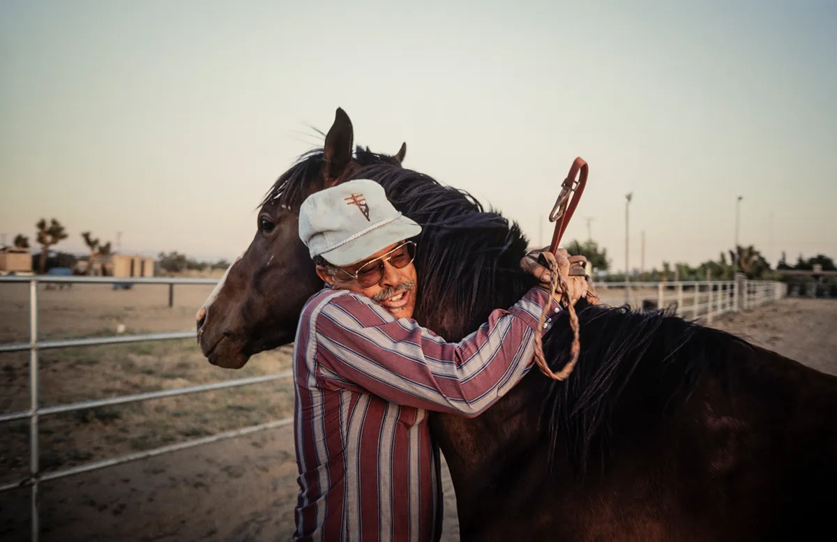 Man hugs horse