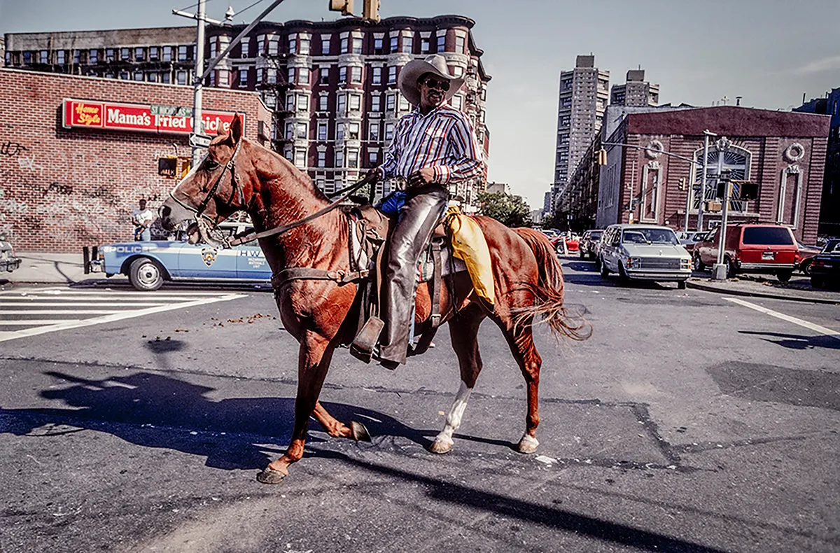 Man on horse in urban setting