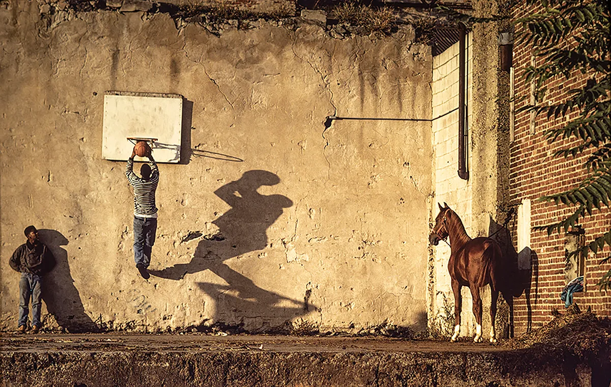 Two boys play basketball outside while a horse is tied to a post