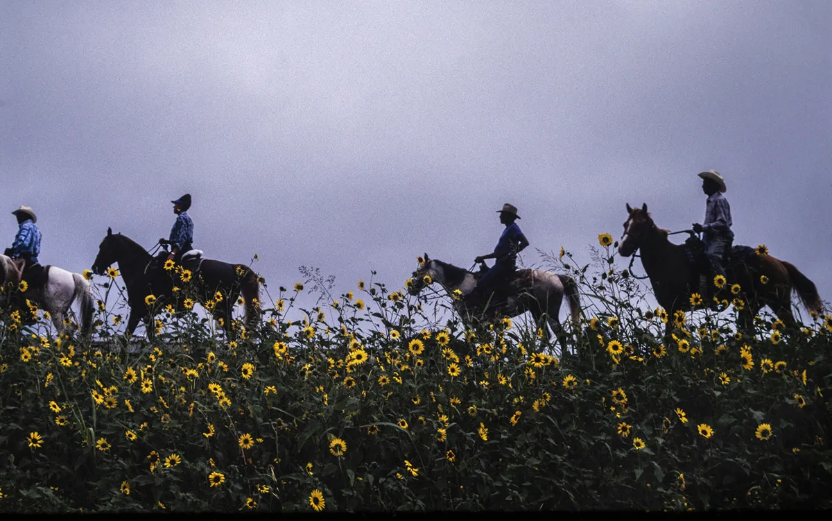 Group of riders on horseback on trail