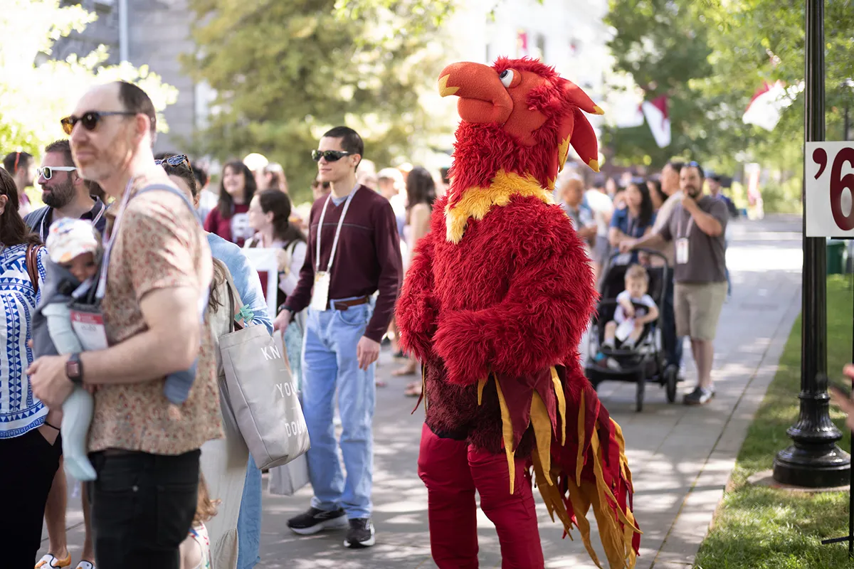 Phineas the phoenix on Magill Walk