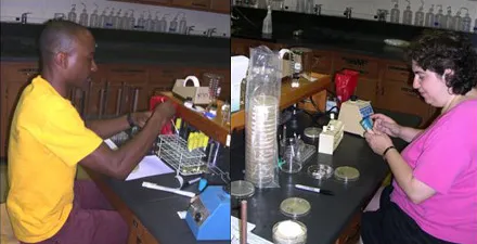 Two people working at a lab bench