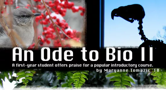 An Ode to Bio II by Maryanne Tomazic '10 A first-year student offers praise for a popular introductory course.