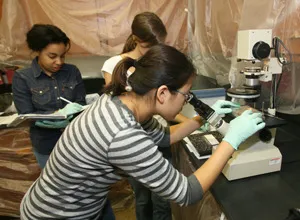 Students working in lab