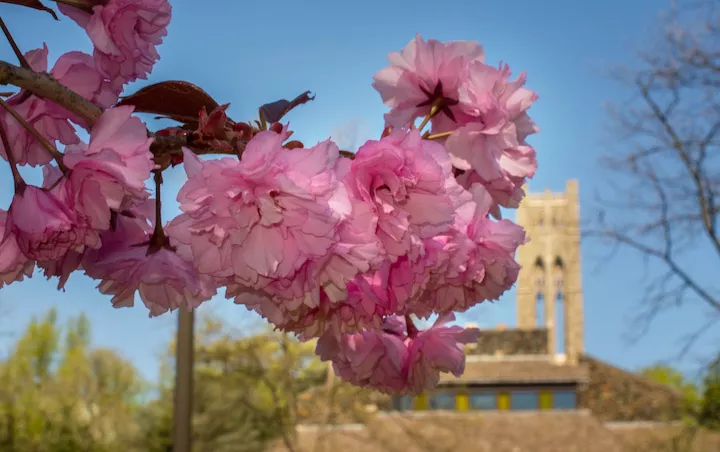 Spring at Swarthmore