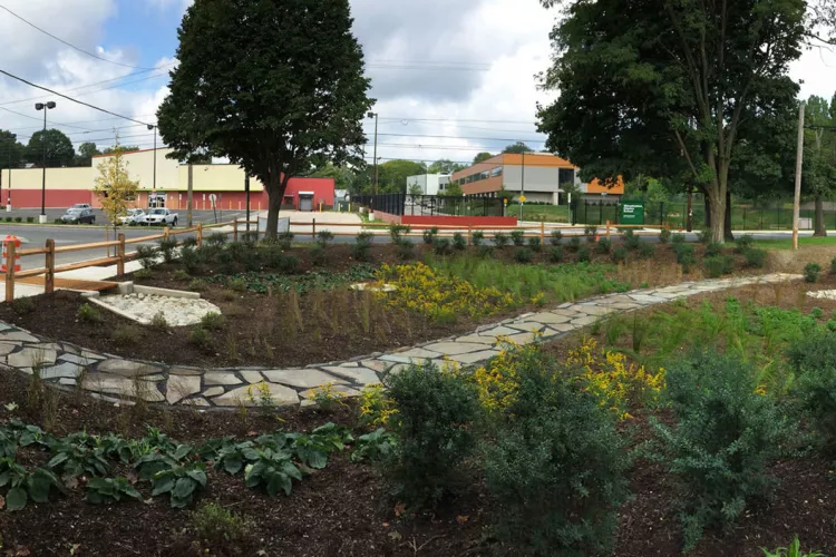 A rain garden built in the Overbrook section of Philadelphia as part of the stormwater management project.